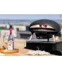 Turtle Motion - Gas Powered Pizza Oven